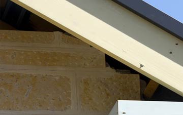 soffit repair Torrieston